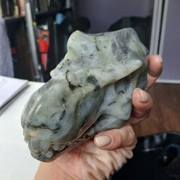 LARGE LABRADORITE T-REX CRYSTAL SKULL - Picture 3 of 6